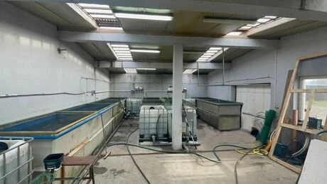 5 New systems up and running, dedicated to customers orders