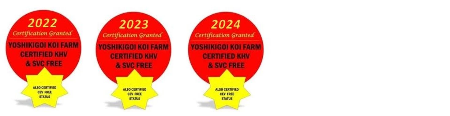 KHV/SVC & CEV Free