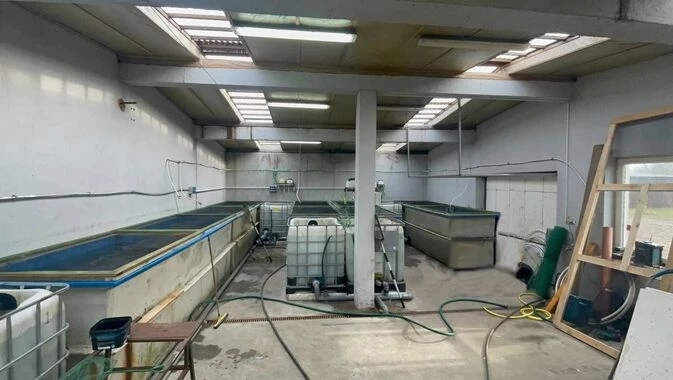 5 New systems up and running, dedicated to customers orders